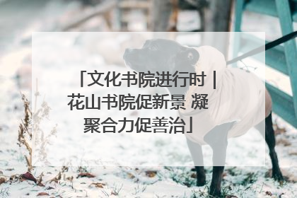 文化书院进行时｜花山书院促新景 凝聚合力促善治